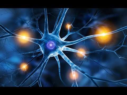 Vidéo: Pendant le potentiel de repos d'un neurone ?