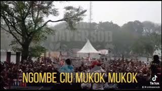 one ciu. story' wa terbaru  ngombe ciu mukok-mukok story' wa mabuk  keren abis