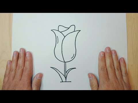 Como dibujar un flor