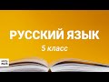 5 класс- Русский язык - Прилагательные качественные, относительные и притяжательные