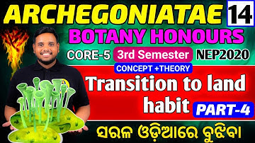 Transition to land habit (part-4)|botany hons core5|bsc 3rd semester botany honours|botany hons|NEP