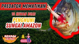 10 HEWAN BUAS PENGUASA SUNGAI AMAZON PREDATOR BERBAHAYA ADA DI AMAZON by Berbau Fakta 10 views 3 days ago 9 minutes, 26 seconds