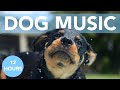 Music for Dogs! Sweet Relaxing Lullabies for Dogs & Puppies!