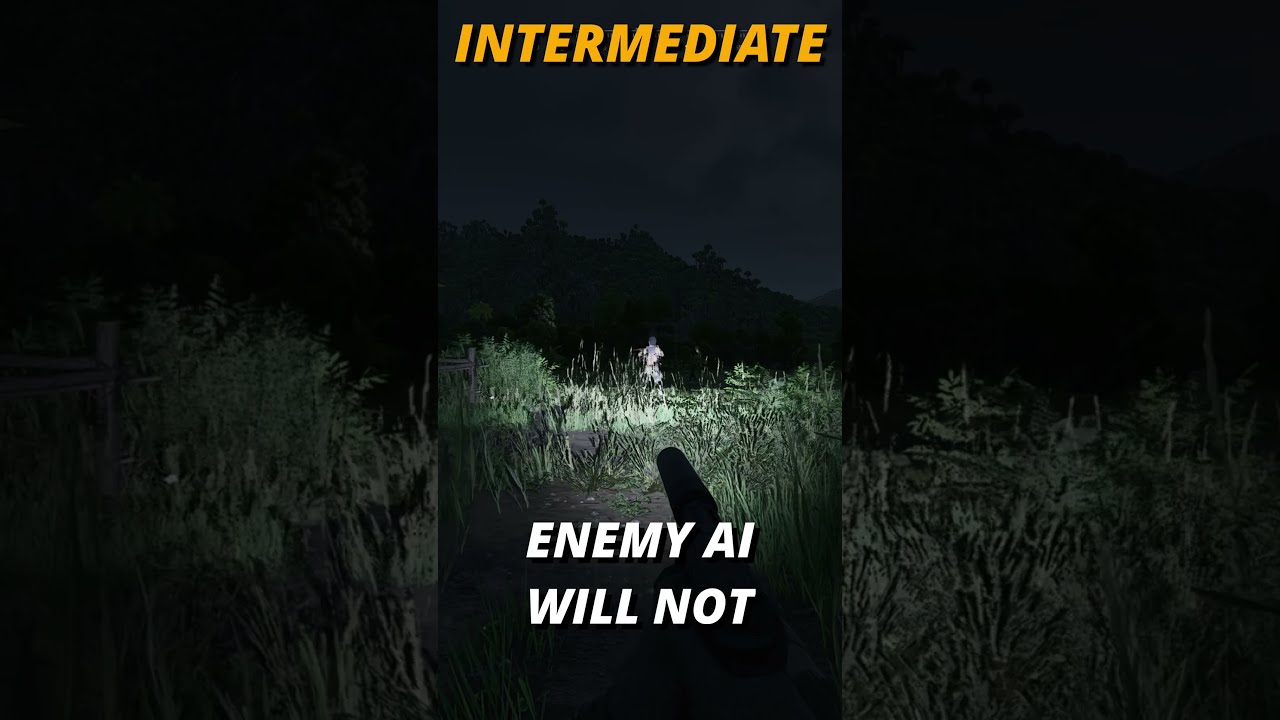 3 Reasons To Use Flashlights In Gray Zone Warfare