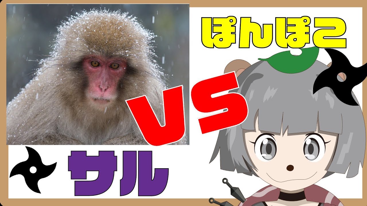 甲賀流忍者ぽんぽこ ぽんぽこ ピーナッツくん非公式wiki 甲賀流忍者ぽんぽこ ぽんぽこ ピーナッツくん非公式wiki