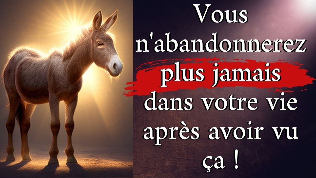 Voila Pourquoi Il Ne Faut Pas Abandonner ! Histoire de l' Âne