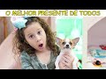 🐶 ADOTEI UM CACHORRINHO!? Valentina Pontes