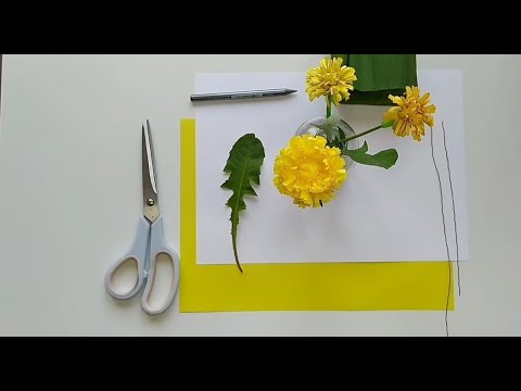 Video: Jak Udělat Pampelišku Z Papíru