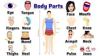 Name Parts of the Body | Parts of Body Name in English | Human Body Parts