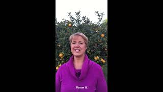 6 Tips on How to Attract Abundance