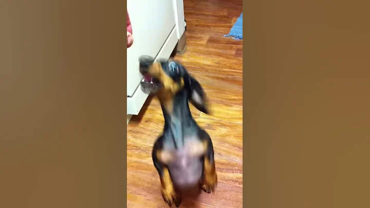 Treat