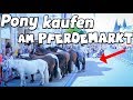 PONY KAUFEN am Pferdemarkt