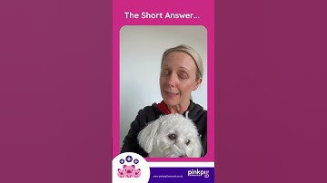 What is digital transformation? - The Short Answer