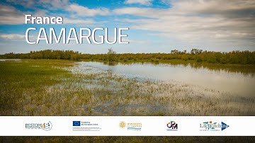Restoring EU coastal wetlands | The Camargue