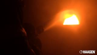 The HAAGEN Attack Digital Fire Training System