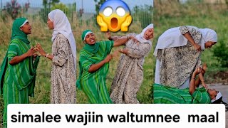 Download lagu 🔴Simalen wajin waltumena wal fiten balan bute😱😱😭😭@HanaTube_yo14 @Abdure_
