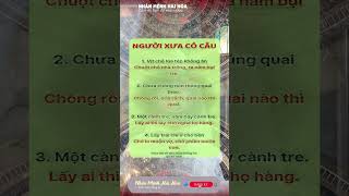 Sức Mạnh Tiềm Ẩn Của Nhân Mệnh Hòa Hợp: Hé Lộ Cách Thu Hút May Mắn Tình Duyên