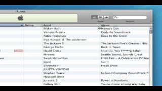 iTunes View Options