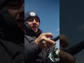Северные водоемы🐋 умеют удивить! Видео завтра в 12 на канале!