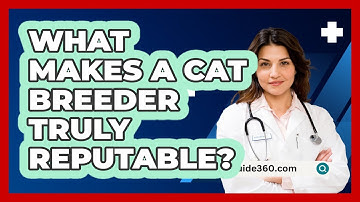 What Makes A Cat Breeder Truly Reputable? - PetGuide360.com