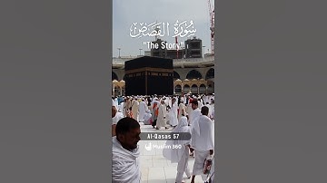 Surah Al-Qasas 57 | Hindi - Urdu Audio translation | سورة القصص #alqasas #hindi #urdu #islamdaily