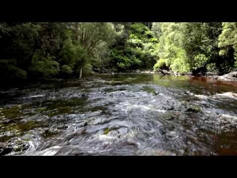 The Six Rivers Trip Part 1 - The Jane and the Maxw...