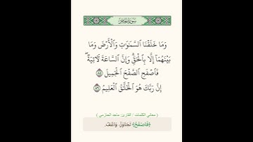 القارئ ماجد الحازمي @