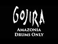 Gojira Amazonia DRUMS ONLY