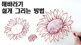 쉽게 꽃그리기 2 편 /꽃스케치2편 / 방향따라 변하는 꽃의 형태 그리기 / 초보자를 위한 쉽게 꽃 스케치하는 방법 / 꽃 잘 그리기  / How To Draw Flowers - Youtube