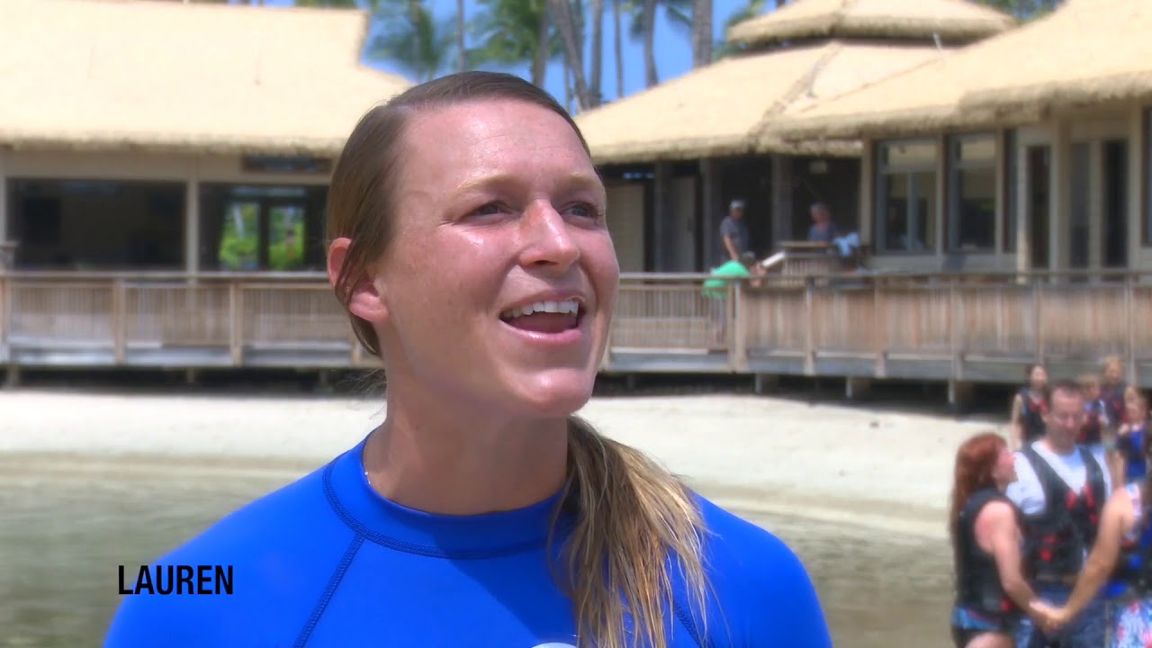 Dolphin Quest Hawaii