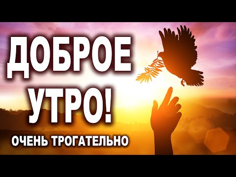 'ДОРОЖИТЕ ЛЮБОВЬЮ, ЛЮДИ!' ОЧЕНЬ ТРОГАТЕЛЬНО! С ДОБРЫМ УТРОМ! Стих (Ирина Самарина-Лабиринт)