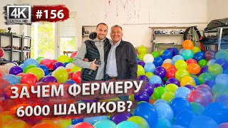 картинка: Уборка подсолнечника и посевная. Сюрприз отцу на юбилей. Что подарили?