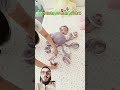 #baby #babylove #babyproducts #cute #funny #babytoys #unfrezzmyaccount
