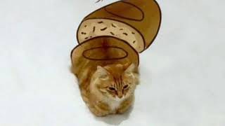 1 hours : hm surf - take care