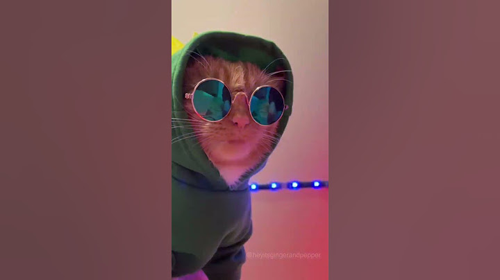 Cat Club! #shorts30 #viral #catclub #shorts28