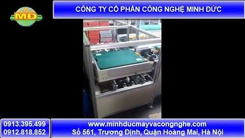 Băng tải hồi pallet   Hệ thống băng tải công nghiệp Minh Đức