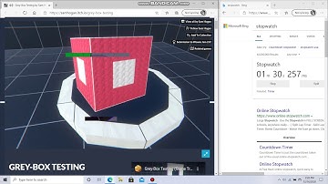 grey-box testing any% speed run