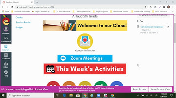 Canvas Online Text Entry Assignment