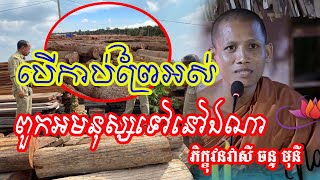 បើគេកាប់ព្រៃអស់ពូកទេវតាទៅនៅឯណា#វនវាសីចន្ទមុនី #លោកឪសួងទី២ #bouthorng Official