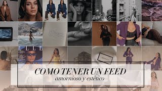 COMO TENER UN FEED ARMONIOSO Y ESTÉTICO