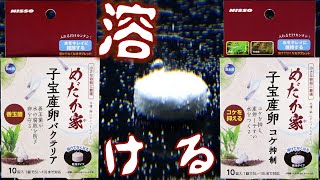 【賦形剤】水槽に入れるだけで卵を守り苔を抑制するタブレット。溶けてなくなります。ニッソーめだか家 子宝産卵バクテリア/コケ抑制【ふぶきテトラ】