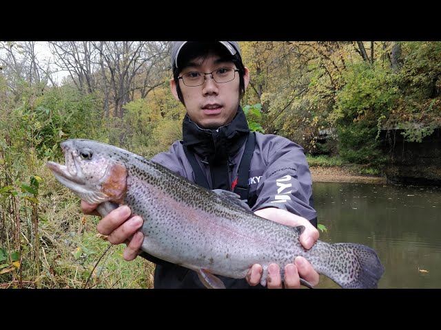 Introduction to Nories Trout Spoon fishing 