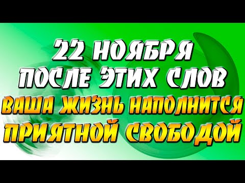 22 ноября 2021