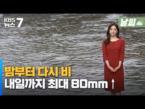 대전 세종 충남 밤부터 다시 비 내일까지 최대 80mm KBS 뉴스7 대전 세종 충남 날씨 07월 24일 월 