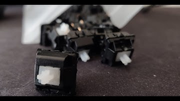 Durock POM Switches Sound Test | Vega |