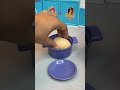 Satisfying Boiled Egg Cooking ASMR | Kitchen Set Toy Play Set Fun