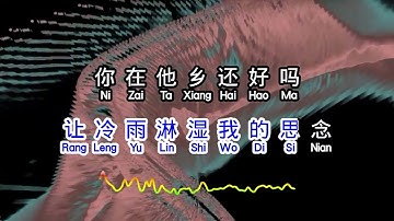 光头李进  《 你在他乡还好吗DJ 》  ni zai ta xiang hai hao ma