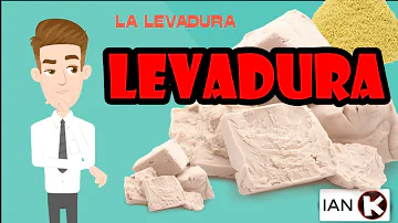 ¿Cuál es la función de la levadura de cerveza?