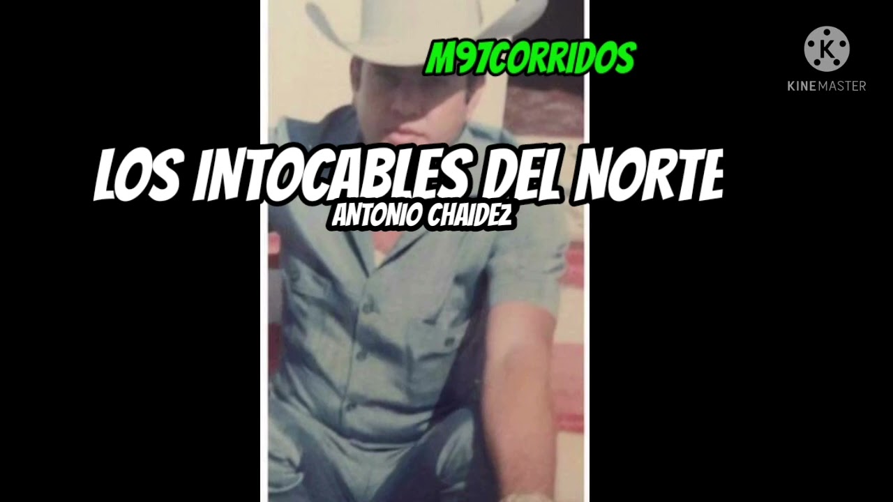Los Intocables del Norte - Antonio Chaidez🌲