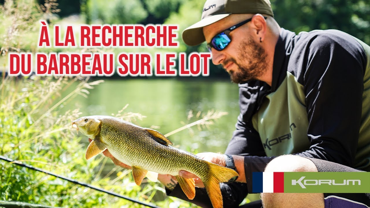 À la recherche du barbeau sur le Lot - #korum #france #barbeau